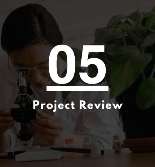 project review